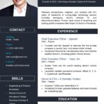 Elon-Musk-Resume