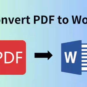 PDF to Word Conversion